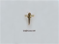 藏品(雙帶長苔蛾)的圖片